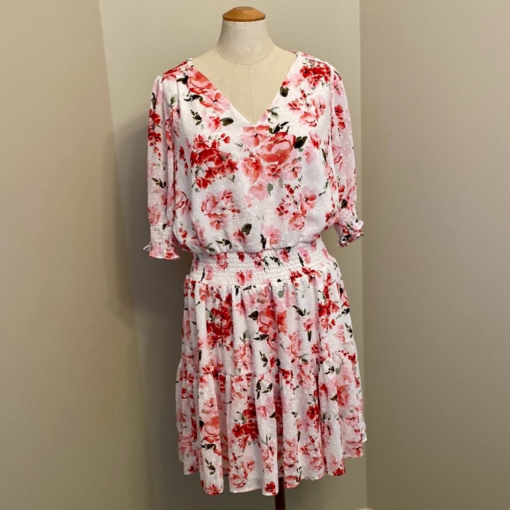 Rachel Zoe Red and Pink Flutter Sleeve Mini Dress